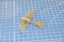 Load image into Gallery viewer, 1/160 Etrich Taube 1910 Brass Precision Structure Model Kit