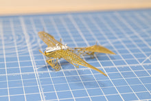 Load image into Gallery viewer, 1/160 Etrich Taube 1910 Brass Precision Structure Model Kit