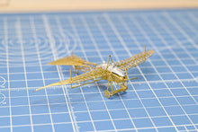Load image into Gallery viewer, 1/160 Etrich Taube 1910 Brass Precision Structure Model Kit